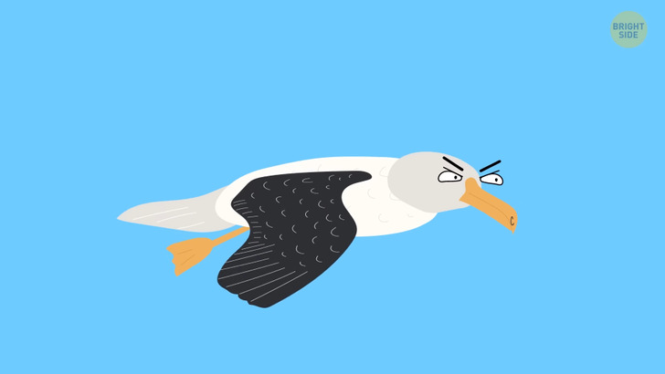 7b2d905ae2ad4b38c144ab4987 7b2d905ae2ad4b38c144ab4987