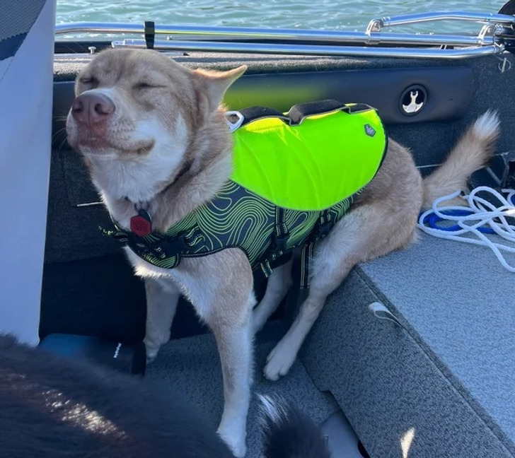 7b38b558998a38fd480e79fb51