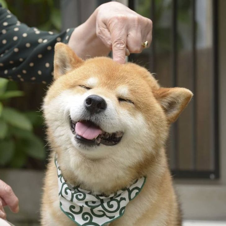 7b43915fe5b6a279a908e4c5d9