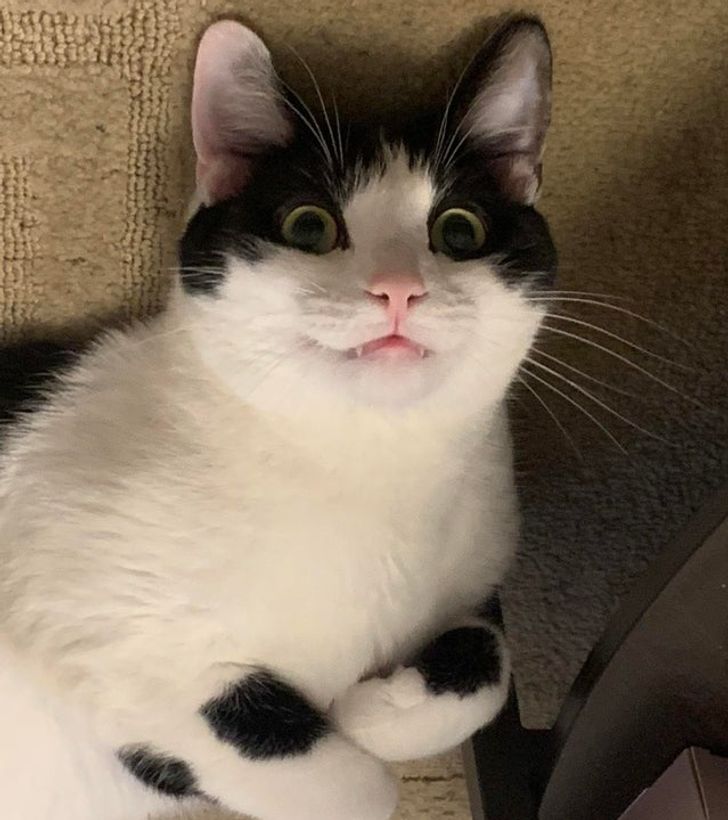 7b461957a59ab79957b7e3e641