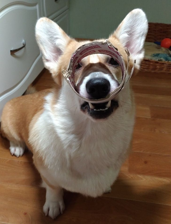 7b481a5a12891f2f72496be96a