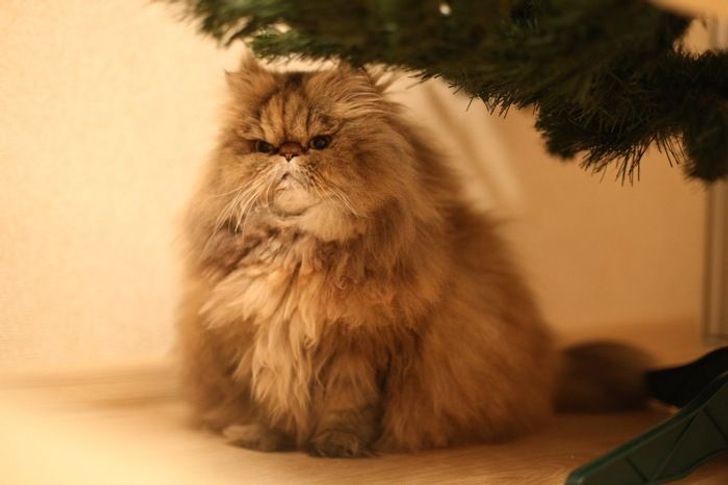 7b4eea5826b75f615a8b9d884b