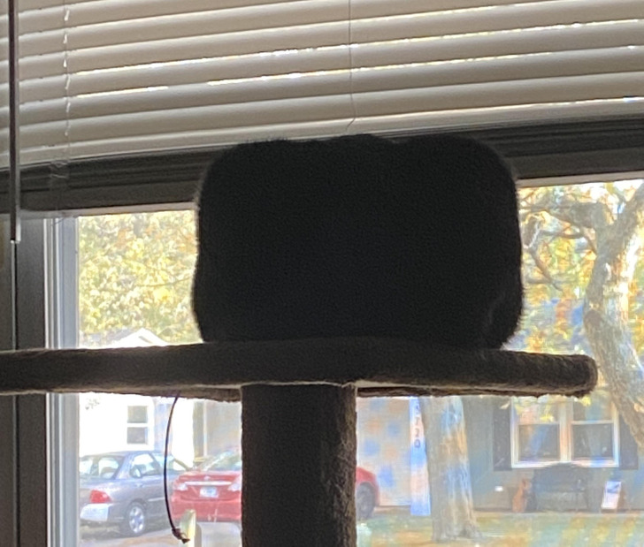 7b57d95f368b585090d7afa94a