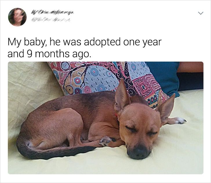 7b5d9757e19be3d58ca61e277e