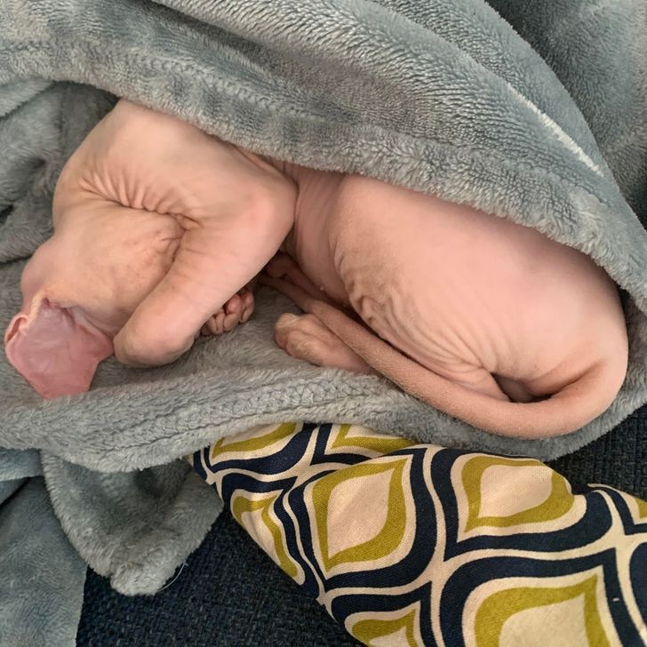 7b5ed757bd820544d09944260b