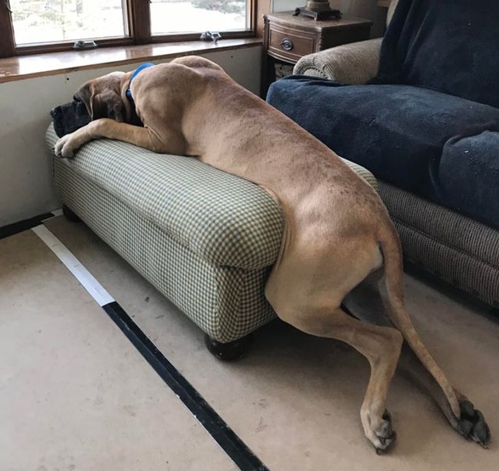 7b60c25f2f87d58ae655ade638