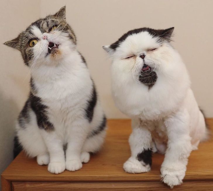 7b69e25eac86562525a9ec527d