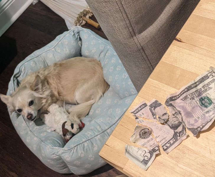 7b6a5d5419b95857db55106e42 7b6a5d5419b95857db55106e42