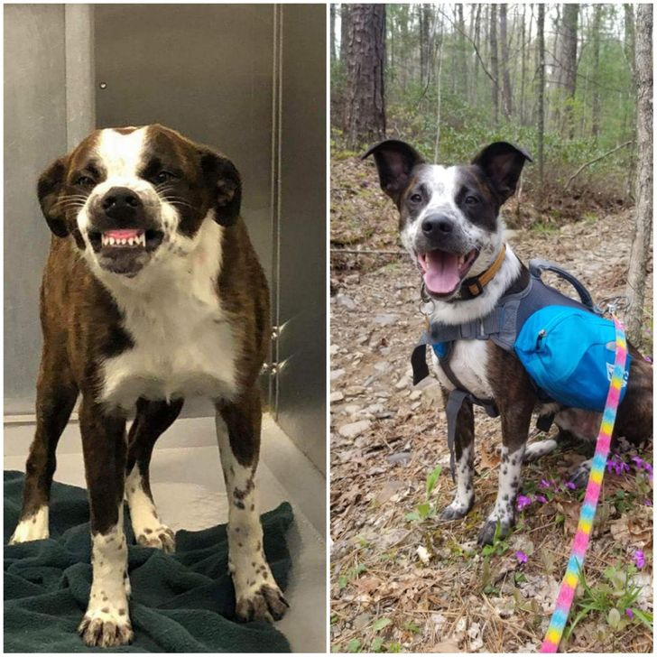 7b6c3e5d8abb29d32e25fc820b