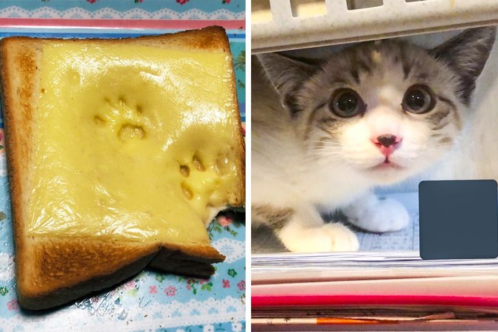 7b6f6b5348a8baba7b5491787a