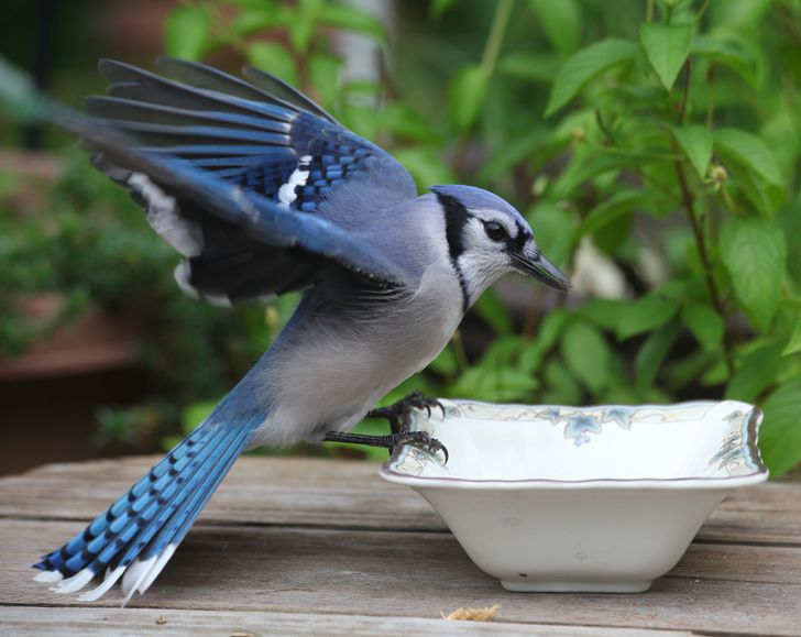 7b7b9b5000a9c44cae2751929c