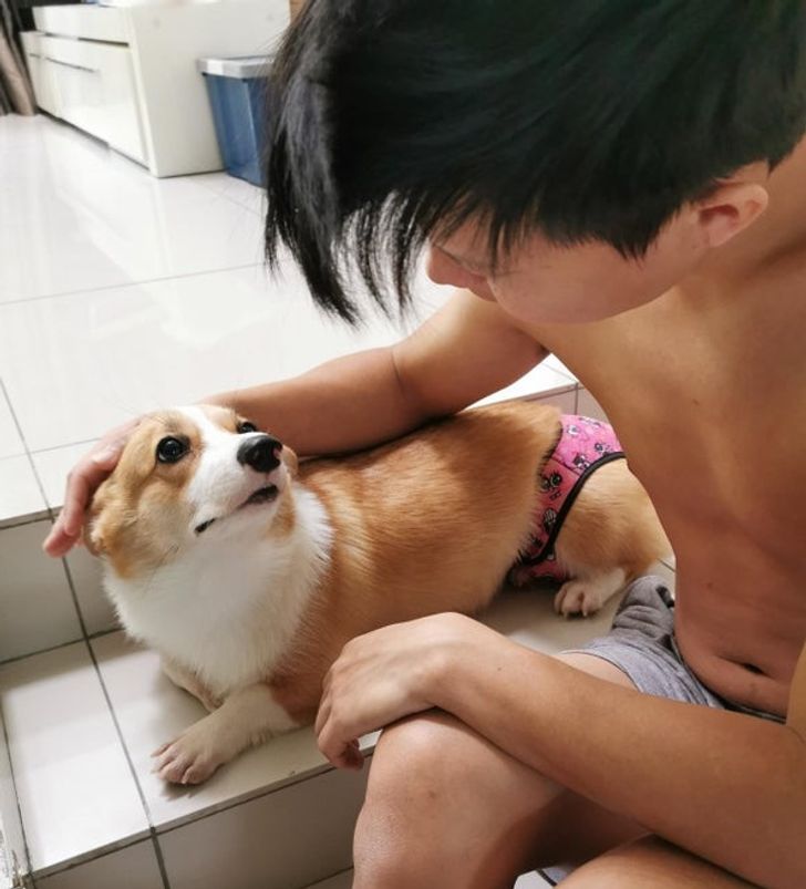 7b7c185f6e9912307660f9a07a