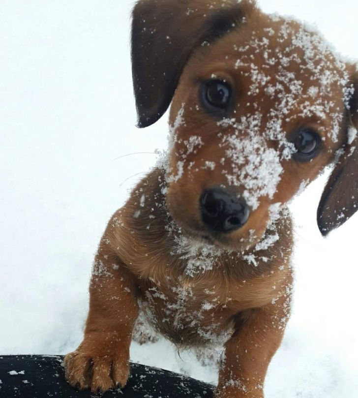 7b7d3158d08db477445c3a13f5