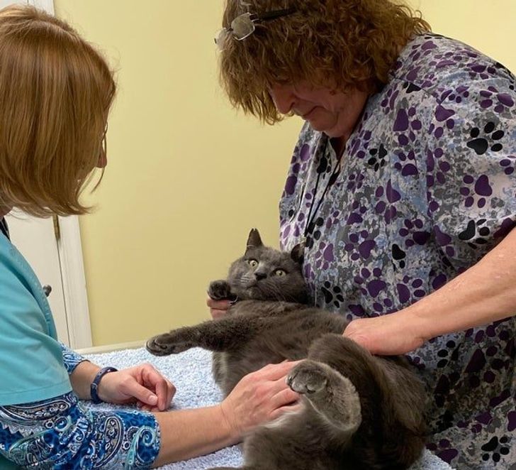 7b86505704a80e2232f1071776