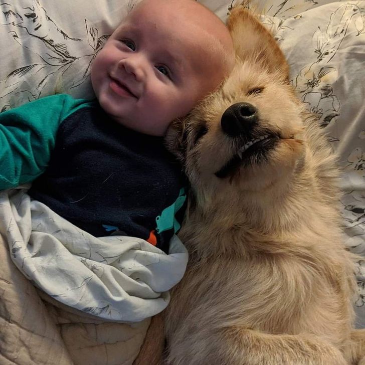 7b8683585e805fddd0b526ca77