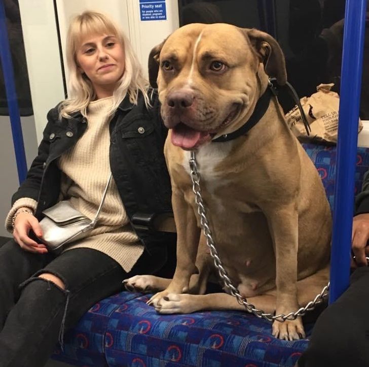 7b87ab5c25bcc0178edbaf78dd