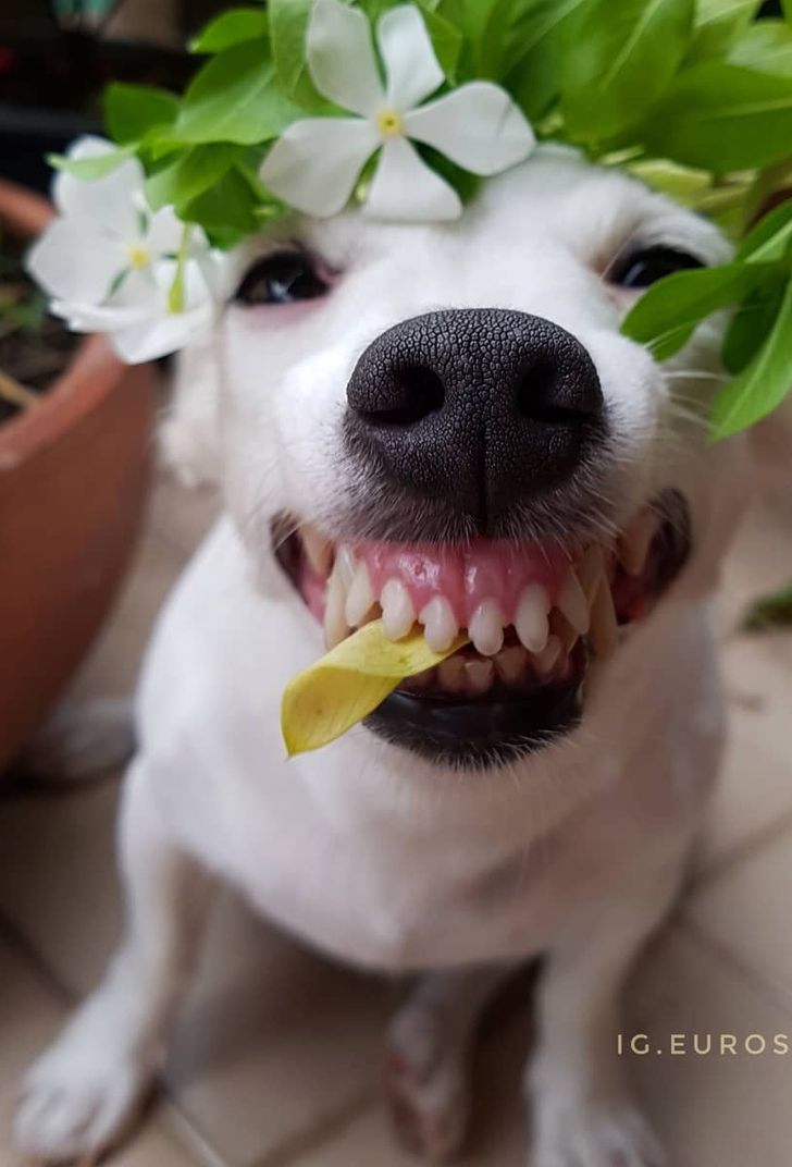 7b902e57f1badda110c52b6b40