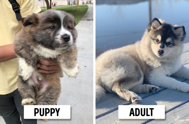 7b93d855e3ada2d791125f15e6