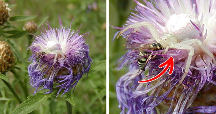 7b97f95c23882f3b224dff153d