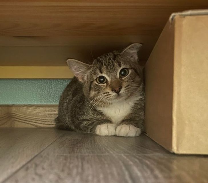 7b9d0b594e8759d876e0d4f23e