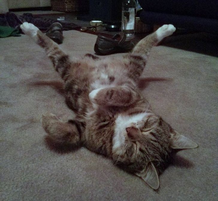 7b9ef75b2591528033c4393a68