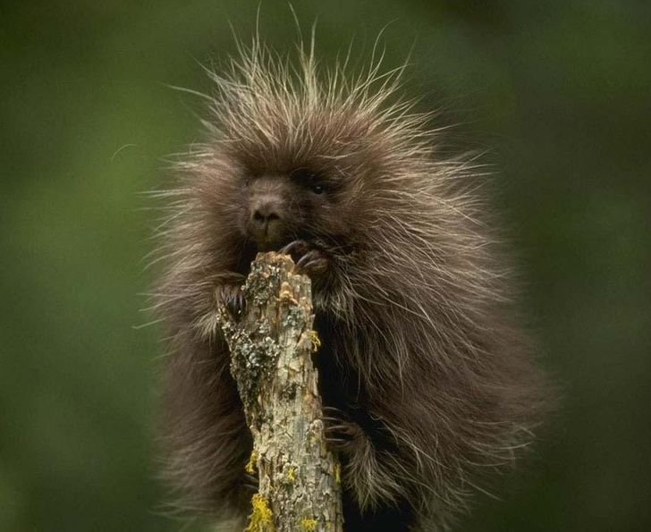 7ba38a5b378a3ca15ffe1365de