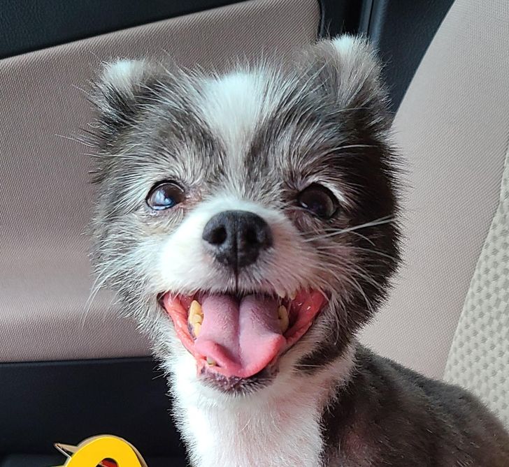 7ba6ac51f891191c6801ce3216