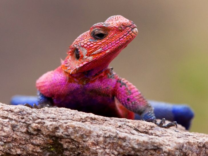 7bab765e0ea1cf67af25607850