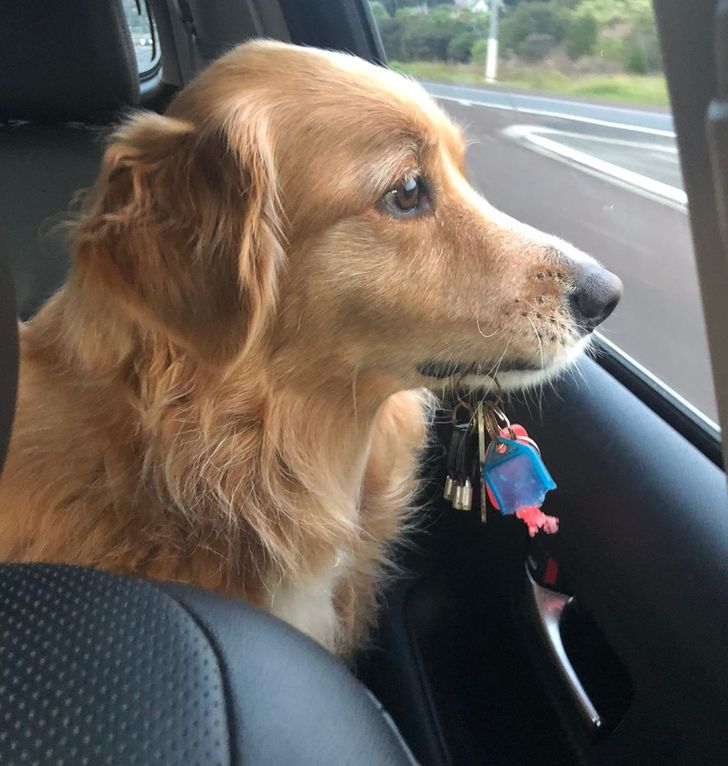 7bb671575488415b2823388dd3