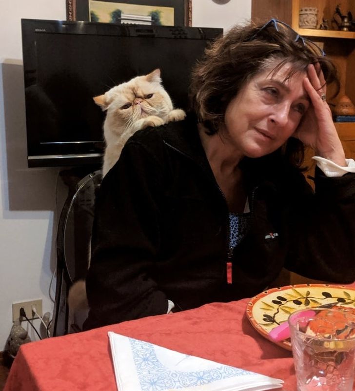 7bb8425c2a83e4fa61bb7898d8