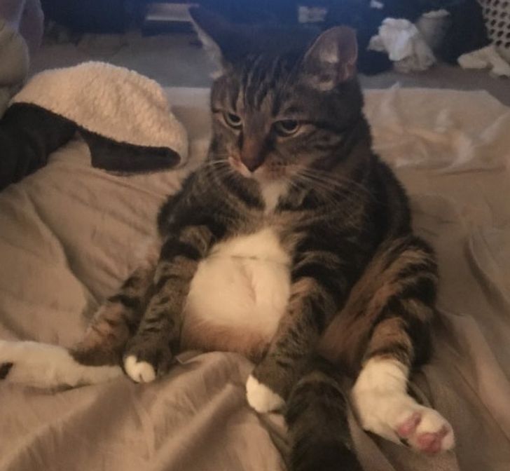 7bbb285268a5c9e3b0b840beb2