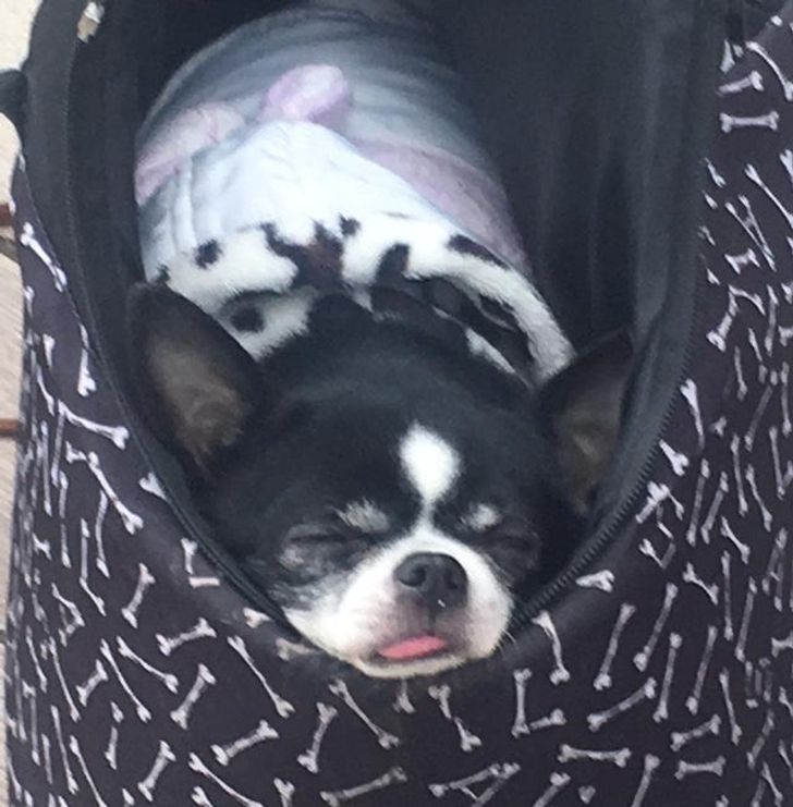 7bbd345f898a3709569e7e78ee