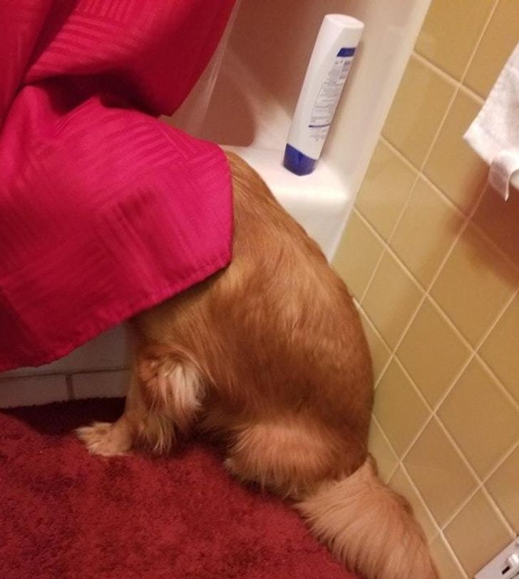 7bc2385afc940d7aa3240a4250