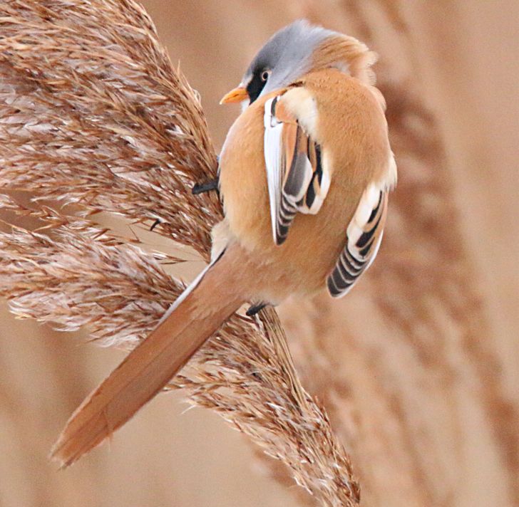 7bce875ba1a71e2d2865347876