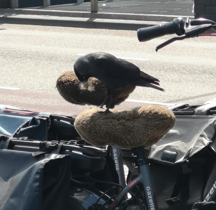 7bd2a15993bce417b39085e268 7bd2a15993bce417b39085e268