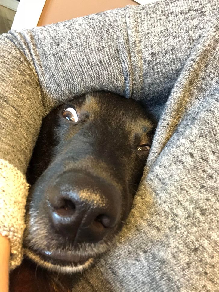 7bdc6452e8975b9e4580cf7046