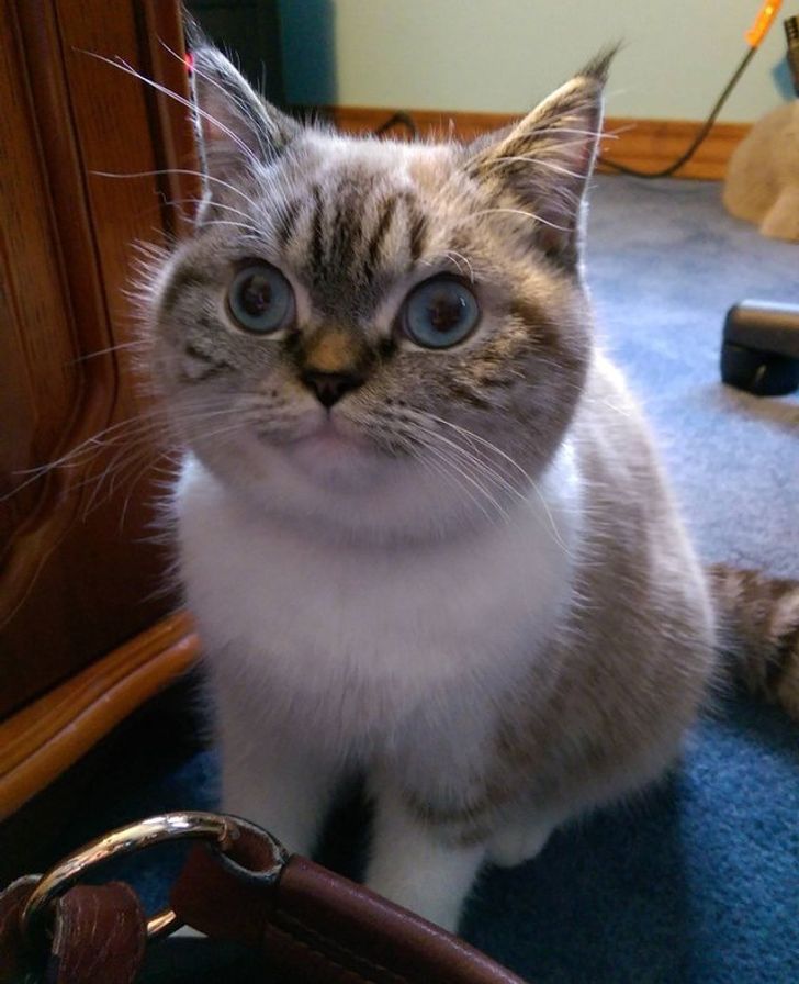 7be4b150ed9302443c78052354