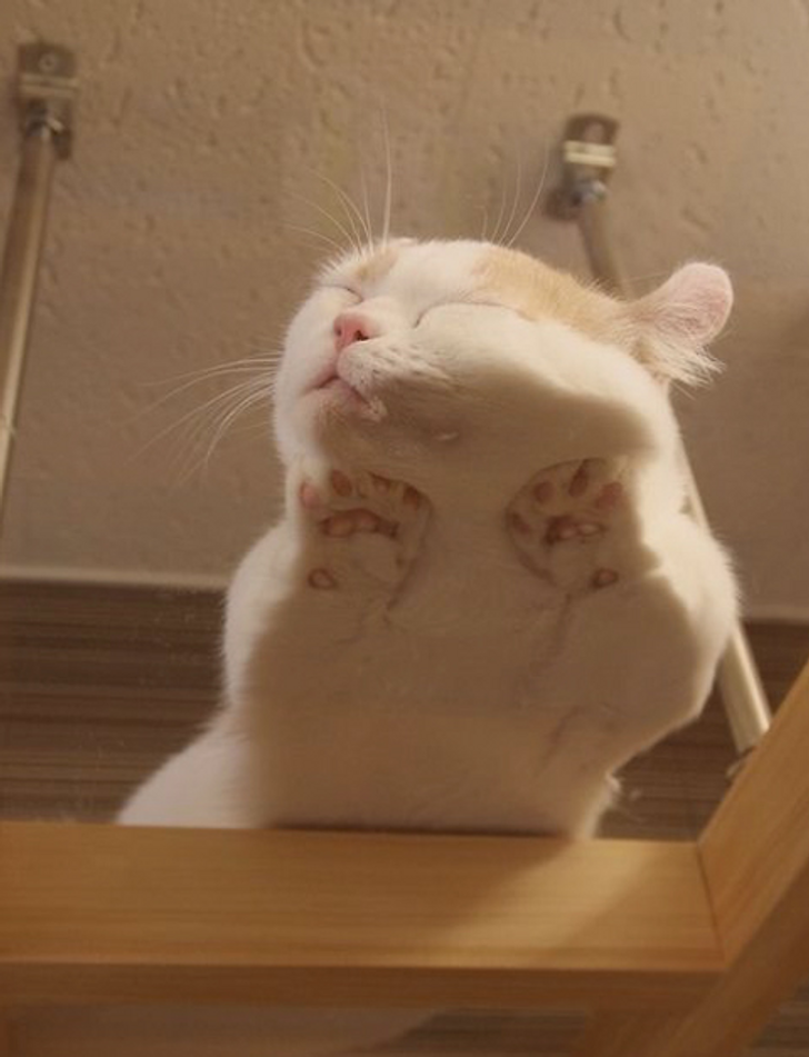 7bf0ec5ec0a42e09c6ce0fe881 7bf0ec5ec0a42e09c6ce0fe881