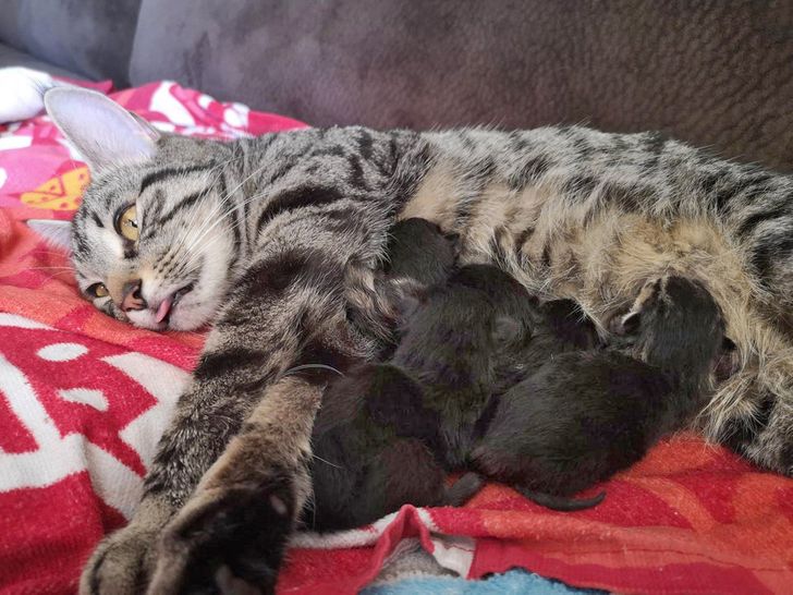 7bf29e5104af5335d107fb7818