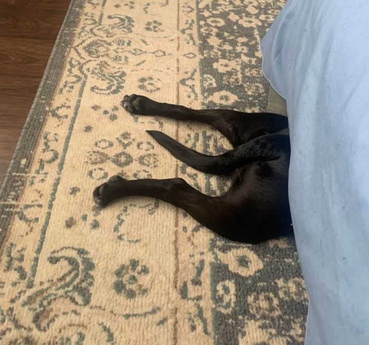 7bfca9527fa6fee64ce02234fe