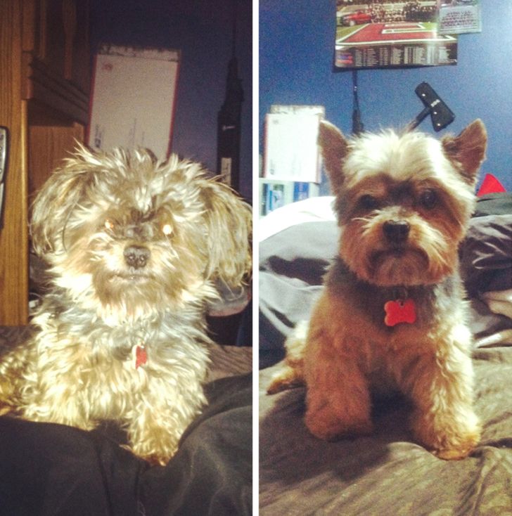 7c03ee5d289a621d912e3596f9