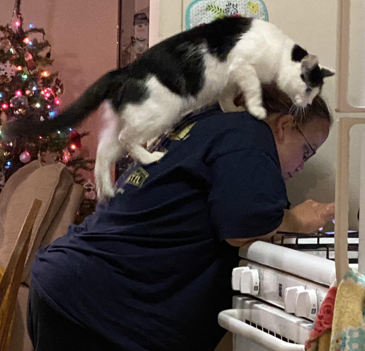 7c08875f42bd010e3628c4634e 7c08875f42bd010e3628c4634e