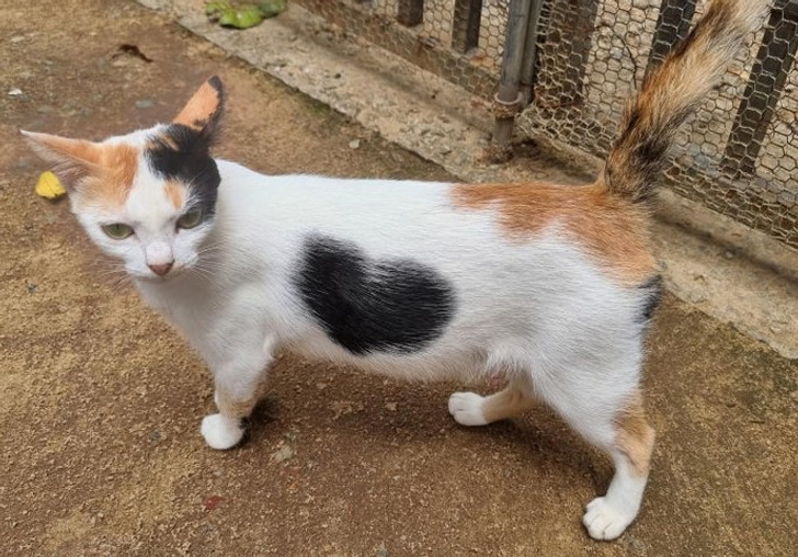 7c0f7250b8b23a0575e7a30bd1