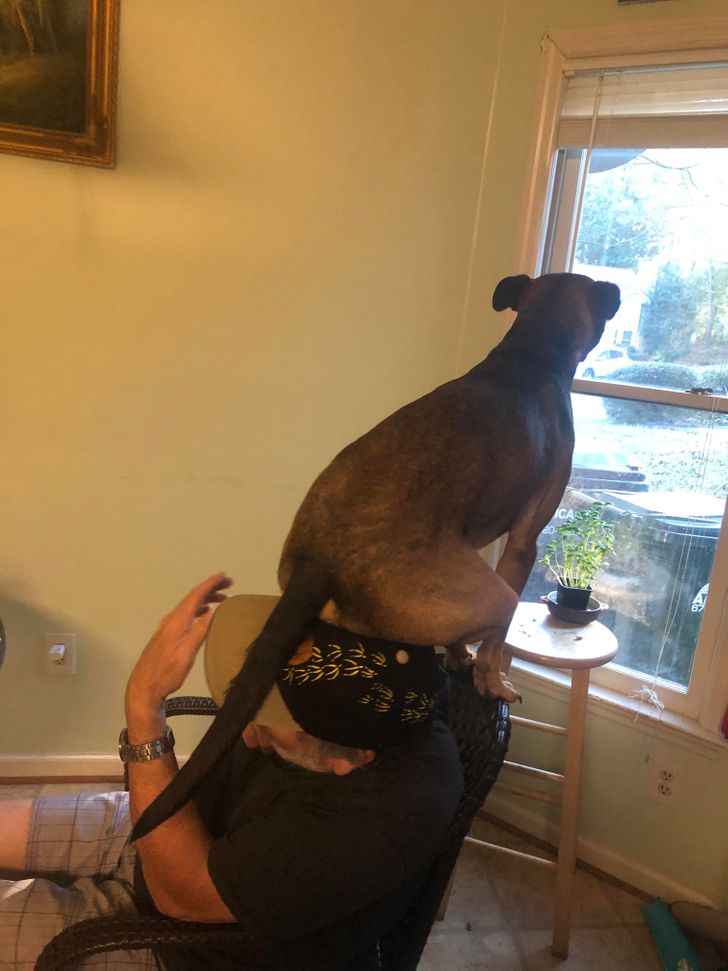 7c20f857bdb8e9ae5f156f63a0 7c20f857bdb8e9ae5f156f63a0