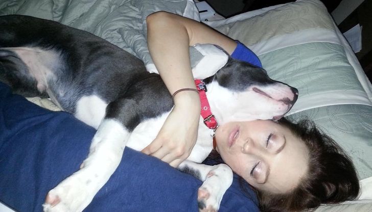 7c24e05af2ad1d947b268d54c2