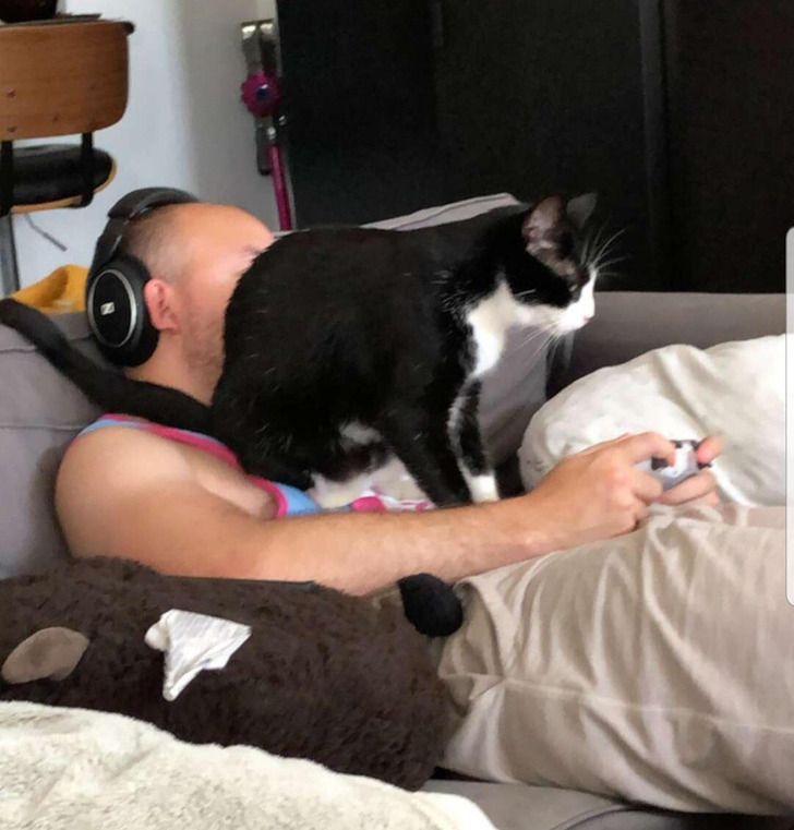 7c26a65165b43528d695a7805f 7c26a65165b43528d695a7805f