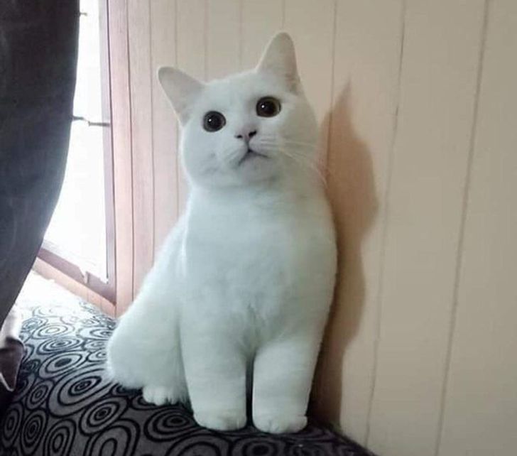 7c29b25b9cbf457cc2219e1df4