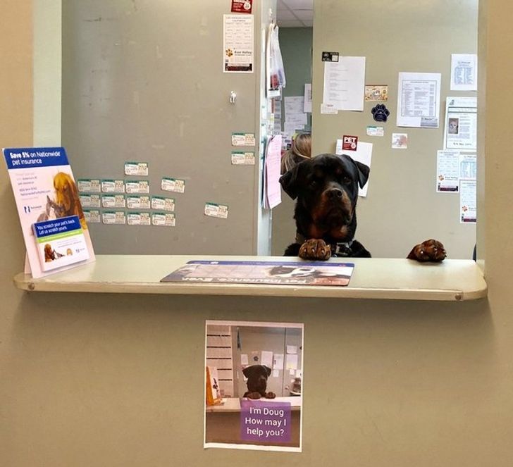 7c30e151379e5c3ada6dcc8b5b