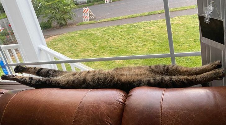 7c334a5f54a93c0c89e36911b5 7c334a5f54a93c0c89e36911b5