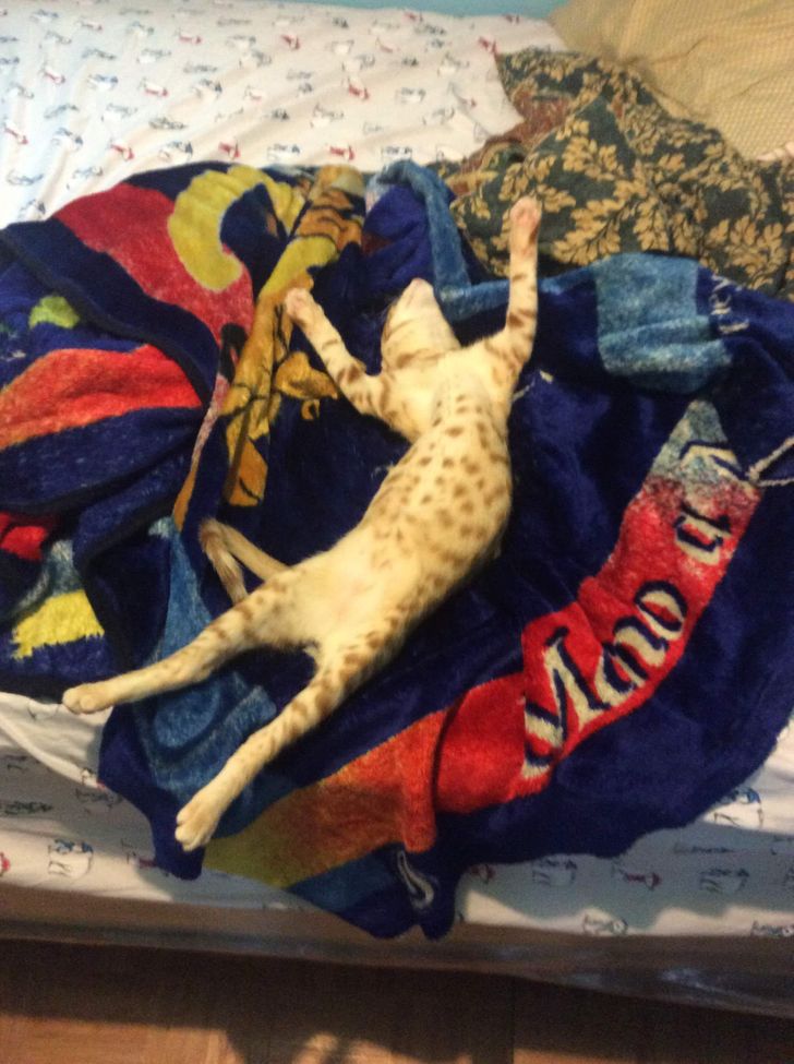 7c36df5ecd98f82d5ffa67be6c